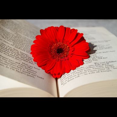 防府駅通りのサロンATTEND　ひげ脱毛で今日から貴方も革命家　